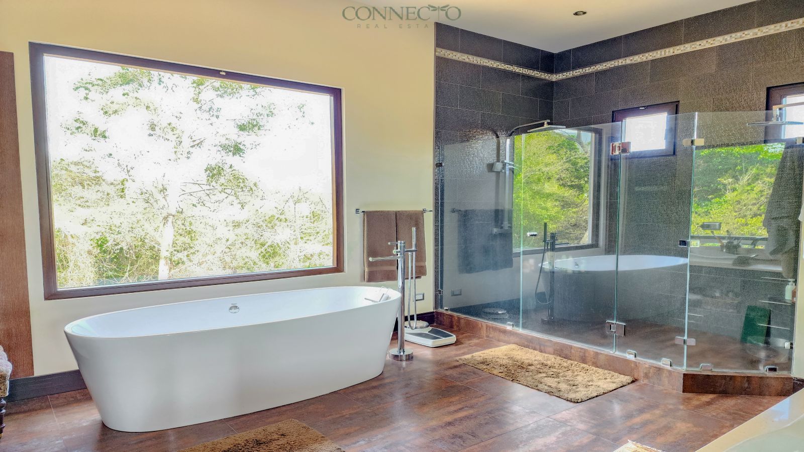 Hacienda del Sol, 4 bedroom and office, 4 habitaciones y oficina, Santa Ana, jardín, garden, luxury home, casa de lujo, inversión, investment home, gourmet kitchen, cocina gourmet