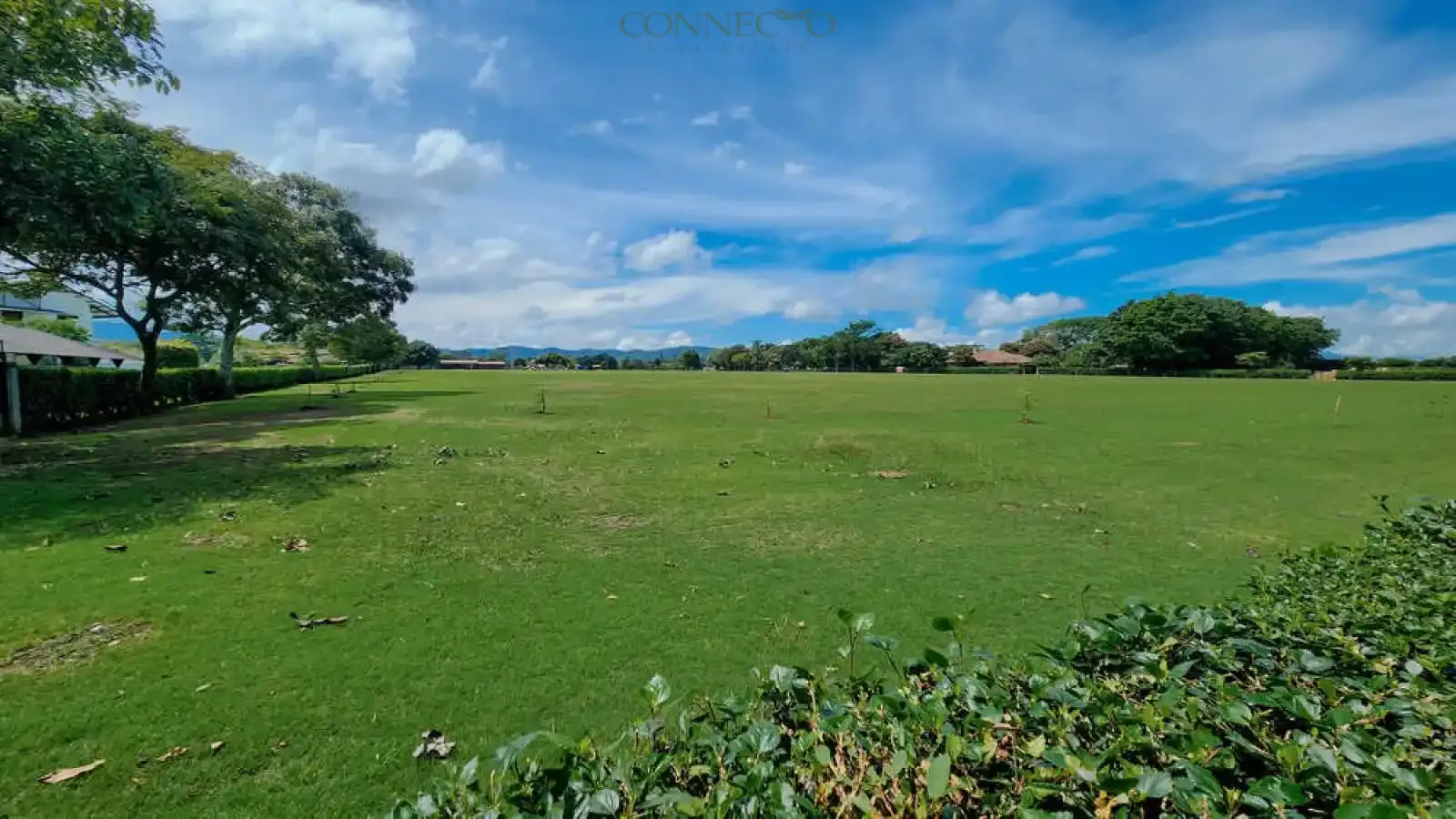 Alajuela, Alajuela, 3 Bedrooms Bedrooms, ,3 BathroomsBathrooms, ,4,500 m&sup2;sqr meters, Estate,For Sale,1151