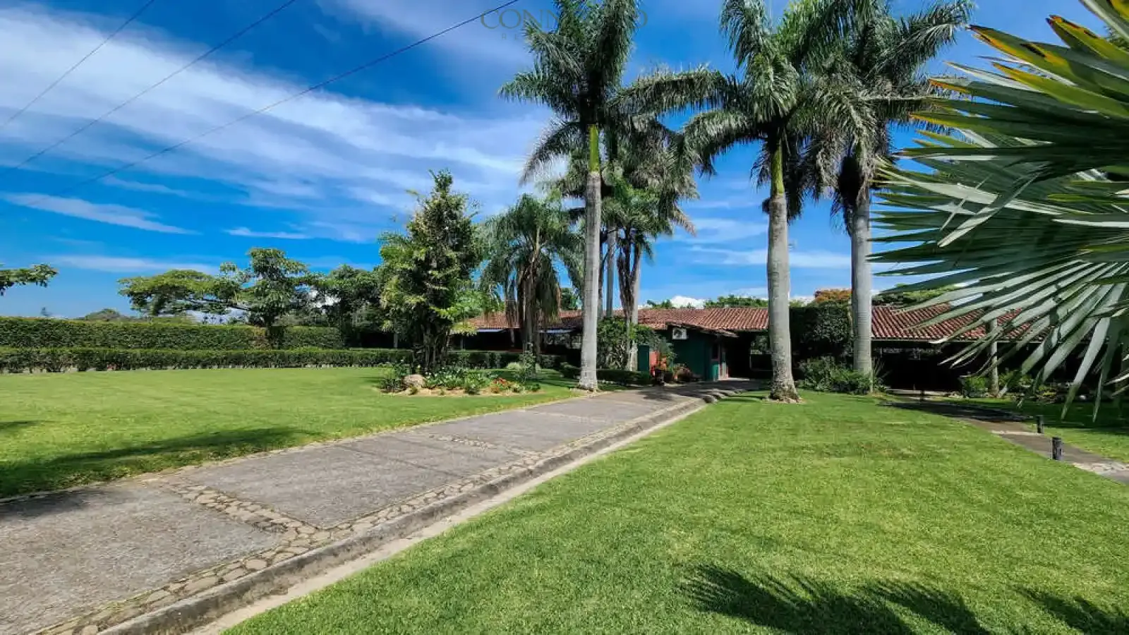 Alajuela, Alajuela, 3 Bedrooms Bedrooms, ,3 BathroomsBathrooms, ,4,500 m&sup2;sqr meters, Estate,For Sale,1151