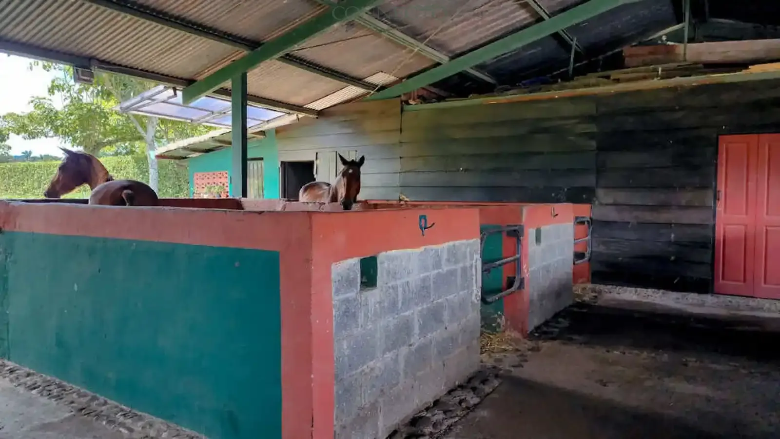 Alajuela, Alajuela, 3 Bedrooms Bedrooms, ,3 BathroomsBathrooms, ,4,500 m&sup2;sqr meters, Estate,For Sale,1151