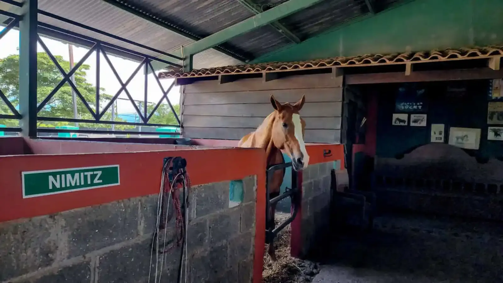 Alajuela, Alajuela, 3 Bedrooms Bedrooms, ,3 BathroomsBathrooms, ,4,500 m&sup2;sqr meters, Estate,For Sale,1151