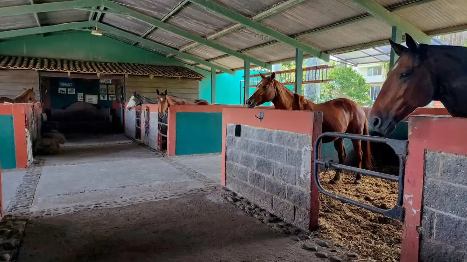 Alajuela, Alajuela, 3 Bedrooms Bedrooms, ,3 BathroomsBathrooms, ,4,500 m&sup2;sqr meters, Estate,For Sale,1151