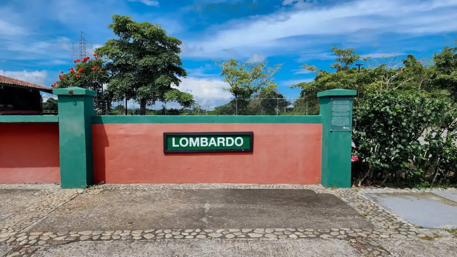 Alajuela, Alajuela, 3 Bedrooms Bedrooms, ,3 BathroomsBathrooms, ,4,500 m&sup2;sqr meters, Estate,For Sale,1151