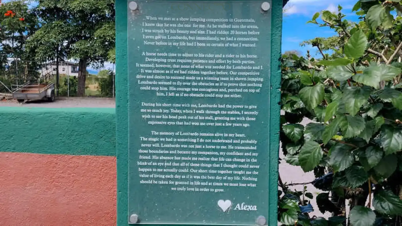 Alajuela, Alajuela, 3 Bedrooms Bedrooms, ,3 BathroomsBathrooms, ,4,500 m&sup2;sqr meters, Estate,For Sale,1151