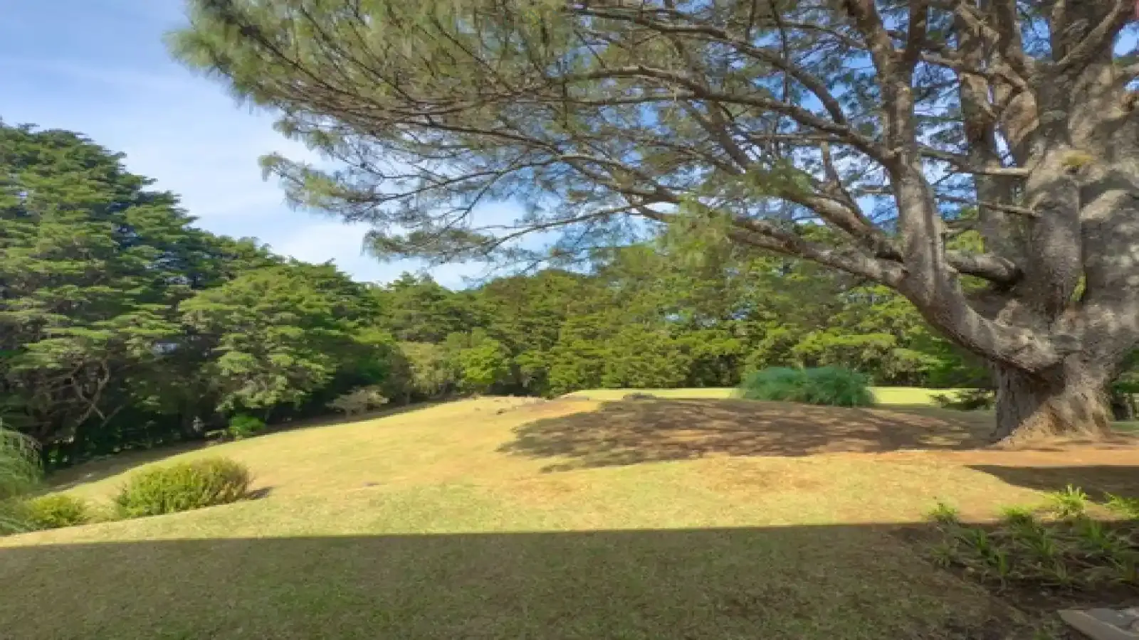 San Rafael, Heredia, 3 Bedrooms Bedrooms, ,3 BathroomsBathrooms, 560 m&sup2; sqr meters,8,100 m&sup2;sqr meters, Independent House,For Sale,1163