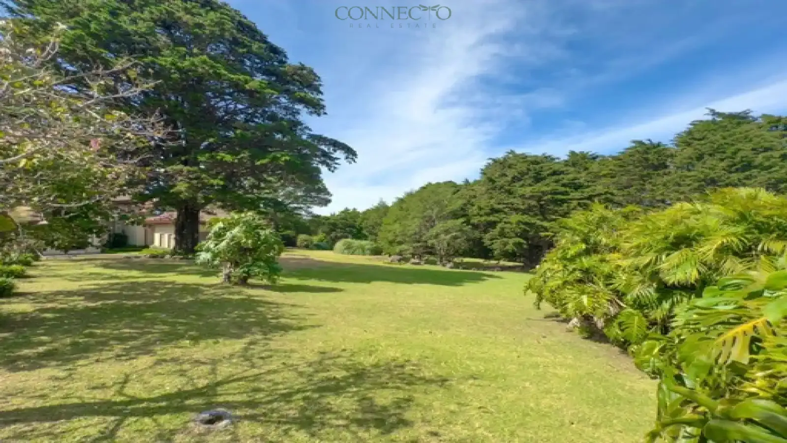 San Rafael, Heredia, 3 Bedrooms Bedrooms, ,3 BathroomsBathrooms, 560 m&sup2; sqr meters,8,100 m&sup2;sqr meters, Independent House,For Sale,1163