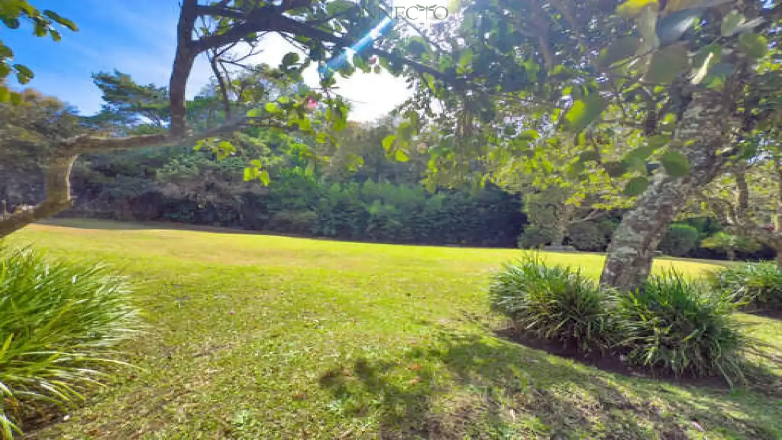 San Rafael, Heredia, 3 Bedrooms Bedrooms, ,3 BathroomsBathrooms, 560 m&sup2; sqr meters,8,100 m&sup2;sqr meters, Independent House,For Sale,1163