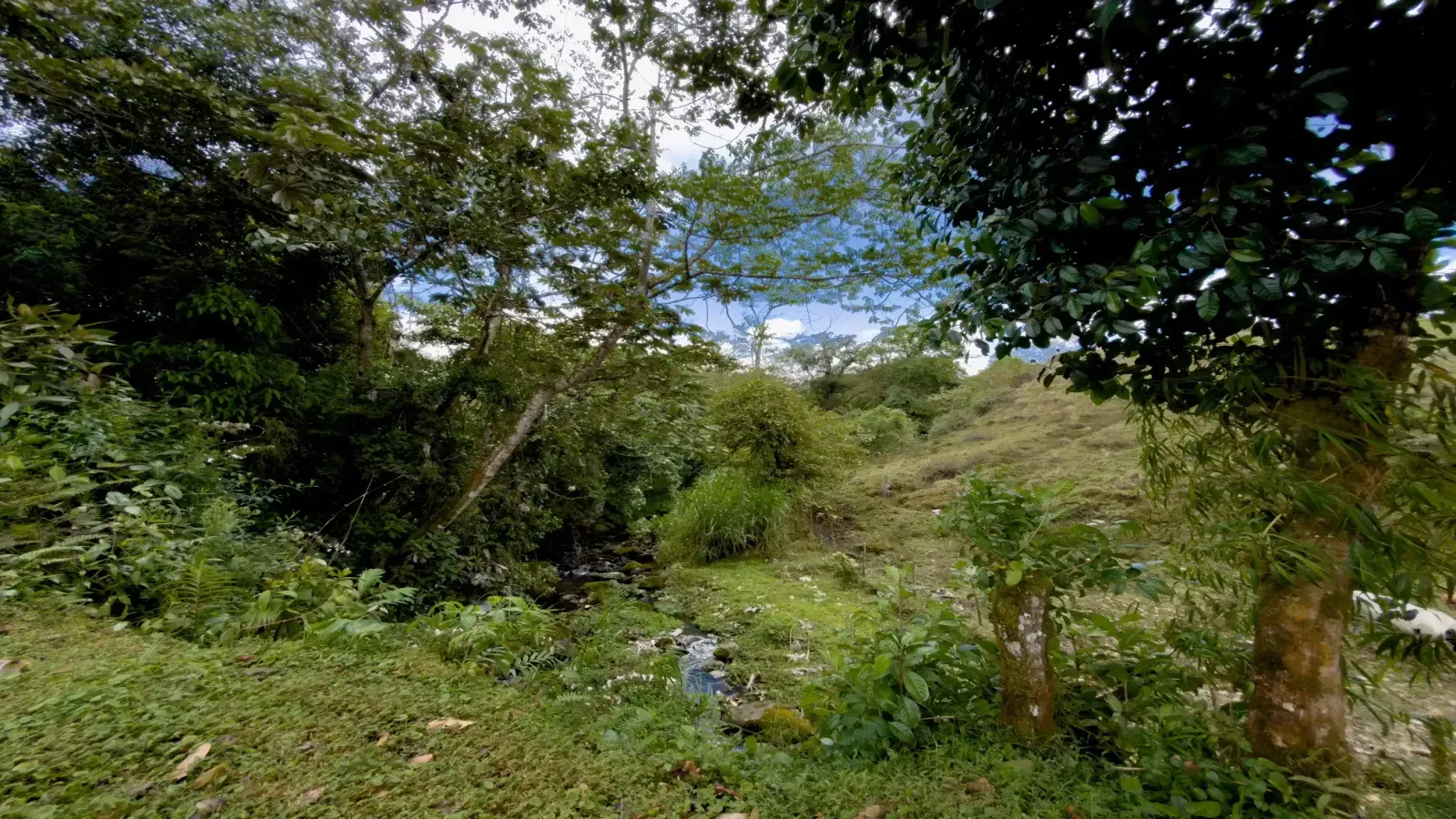 mountain home for sale Costa Rica, San José home with panoramic views, Coronado property for sale, Costa Rica home with land, house with ravine Costa Rica, Central Valley mountain property, second home Costa Rica for foreigners, private home near San José, Costa Rica nature retreat, Connecto Real Estate Costa Rica,casa en venta San José montañas, propiedad en Coronado Costa Rica, casa con terreno amplio Costa Rica, casa con quebrada Costa Rica, segunda residencia Costa Rica, casa con vista panorámica Valle Central, propiedad privada cerca de San José, Connecto Real Estate Costa Rica